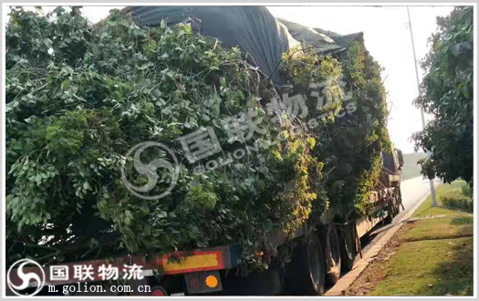 株洲物流公司 国联物流